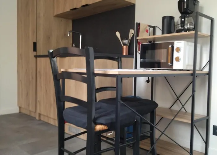 Au Coin Des Lilas - 2 度假居 勒芒