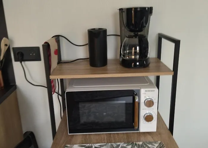 Au Coin Des Lilas - 2 度假居 勒芒