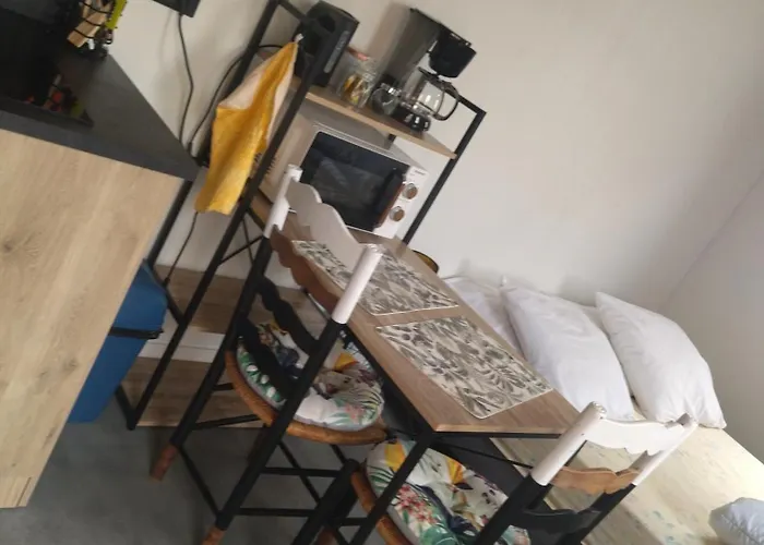 Au Coin Des Lilas - 2 Holiday home Le Mans